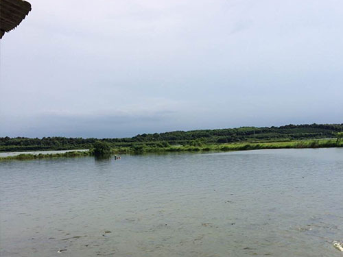 基地展现8