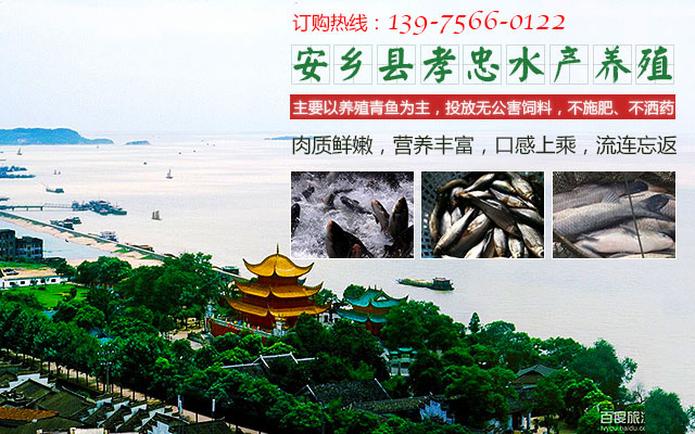 安乡县孝忠水产养殖专业合作社_安乡县生态青鱼|安乡县养殖青鱼|无污染鱼苗