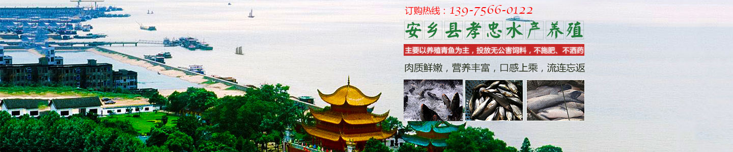 安乡县孝忠水产养殖专业合作社_安乡县生态青鱼|安乡县养殖青鱼|无污染鱼苗