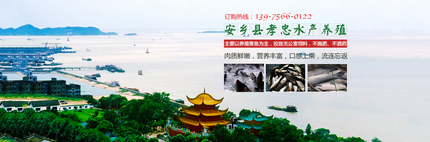安乡县孝忠水产养殖专业合作社_安乡县生态青鱼|安乡县养殖青鱼|无污染鱼苗