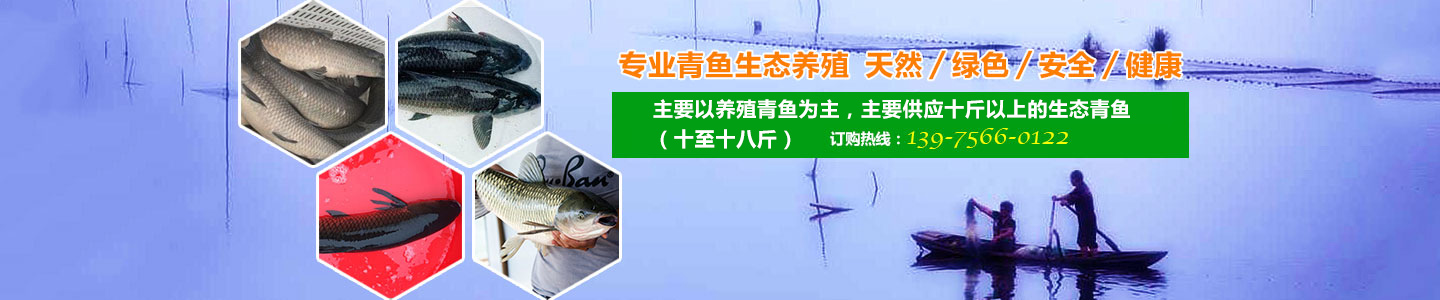 安乡县孝忠水产养殖专业合作社_安乡县生态青鱼|安乡县养殖青鱼|无污染鱼苗
