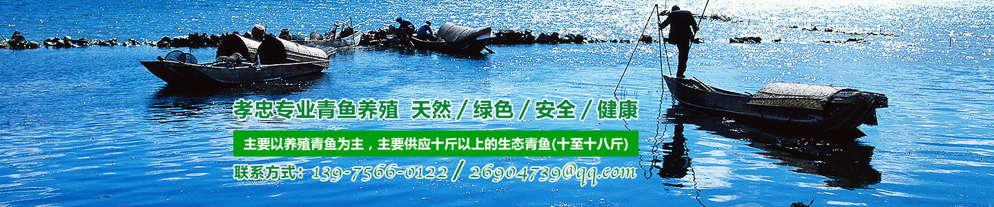 安乡县孝忠水产养殖专业合作社_安乡县生态青鱼|安乡县养殖青鱼|无污染鱼苗