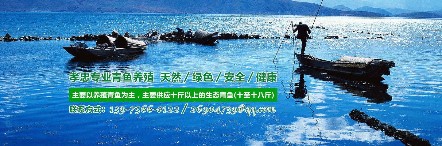 安乡县孝忠水产养殖专业合作社_安乡县生态青鱼|安乡县养殖青鱼|无污染鱼苗